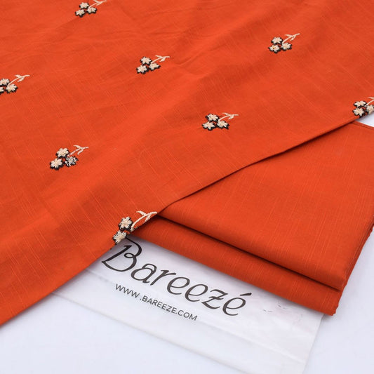 Bareeze Khaddar Embroidered Winter 2pcs